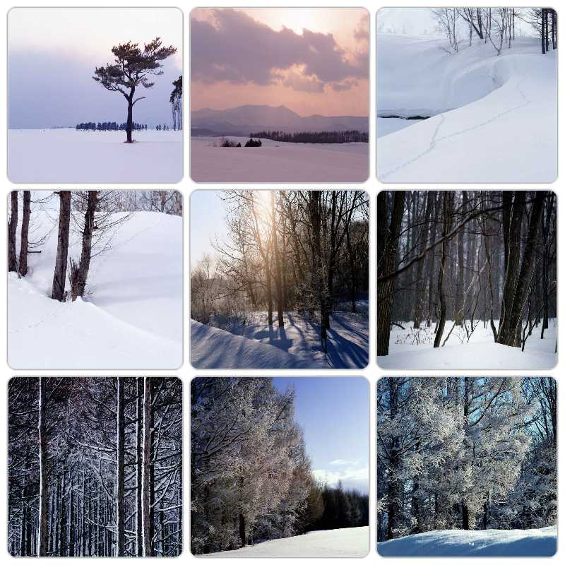 زمستان – هشتم شهریور ۱۴۰۲